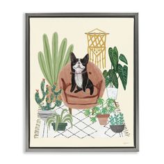 a black and white dog is sitting in a chair surrounded by cacti, succulents and cactuses