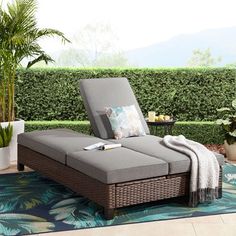 an outdoor lounge chair sitting on top of a rug next to a potted plant