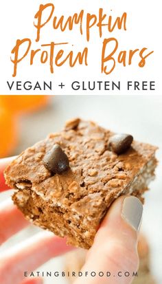 a hand holding a piece of pumpkin protein bars with chocolate chips on top and the text vegan gluten free