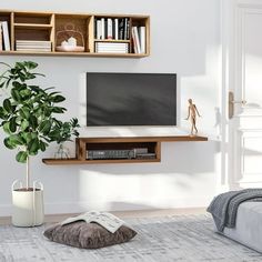 a living room with a couch, television and bookshelves on the wall above it