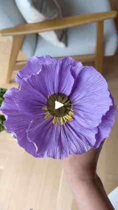 a person holding a purple flower in their hand