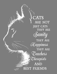 a cat's face with the words cats are not just cats, they are saniti