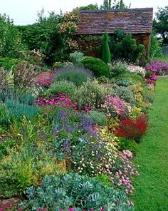 a garden filled with lots of different types of flowers and plants next to a building