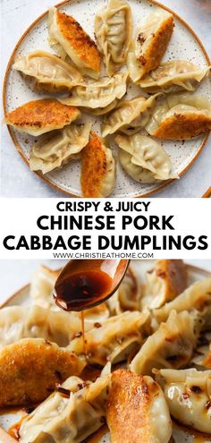 crispy and juicy chinese pork cabbage dumplings on a plate with sauce being drizzled over them