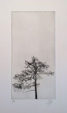 a black and white photo of a tree