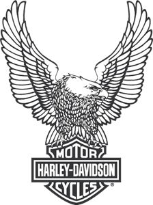 the harley davidson logo with an eagle on it's back and two large wings