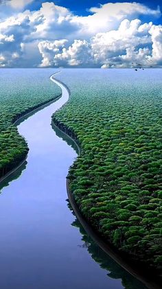 an aerial view of a river surrounded by green plants and blue sky with white clouds