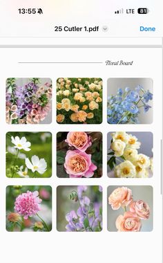 an image of flowers on the web page