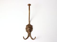 an antique brass hook with a lion head on it