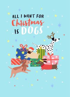 a christmas card with dogs and presents on the front, all i want for christmas is dogs