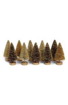 five small trees are lined up in a row