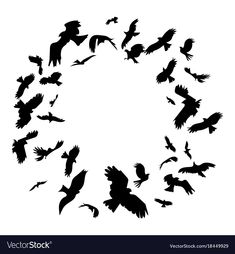 black silhouettes of birds flying in a circle