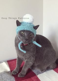 a gray cat wearing a blue knitted hat