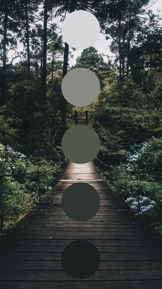 three circles are floating in the air over a wooden walkway surrounded by trees and bushes