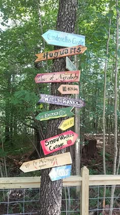 a tree with many signs on it in front of a fence and some trees behind it