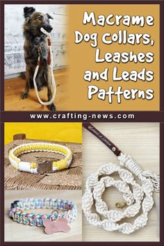 the cover of macrame dog collars, leashes and leads patterns by crafting news