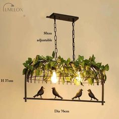 three birds are sitting on a planter hanging from a light fixture that is attached to the wall