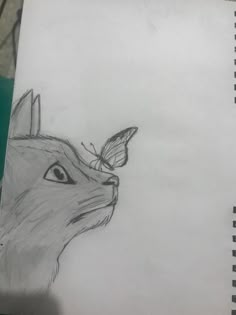 a drawing of a cat with a butterfly on it's nose and the head of a cat