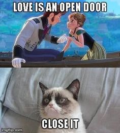 a cat sitting on top of a bed next to a caption that reads love is an open door close it