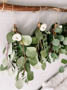 some green leaves and white flowers hanging on a wall