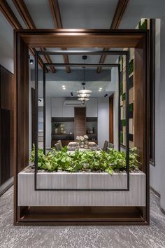 an indoor garden in the middle of a room