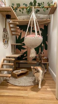 a cat is walking up the stairs in front of a hanging hammock chair