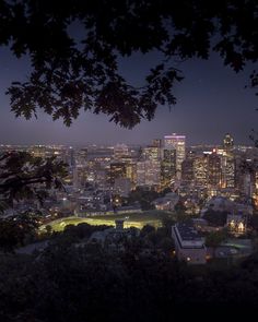 the city lights shine brightly at night in this view from atop a hill, with trees and buildings on either side