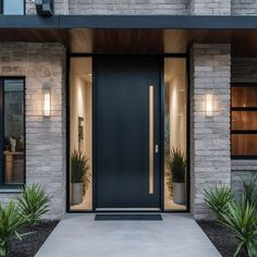 the front entrance to a modern home with two potted plants on either side of the door