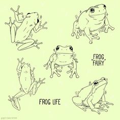 frog life coloring pages for kids and adults to print on the back of their shirts