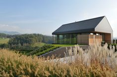 the house is surrounded by tall grass and mountains in the distance, with a wooden roof