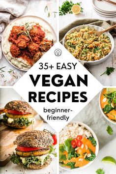 the best vegan recipes for beginners that are easy to make, delicious and nutritious