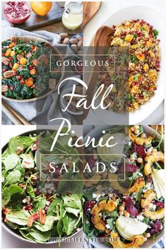 various salads with text that reads gorgeous fall picnic salads