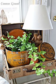 an old trunk with plants in it and a lamp next to it on a table