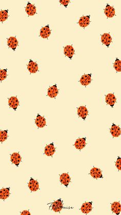 an orange and black ladybug pattern on a white background