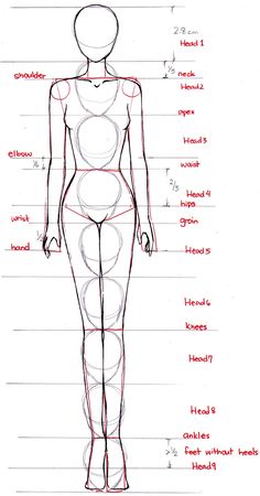 a drawing of a woman's body with all the parts labeled