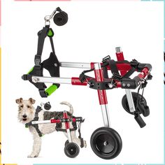 Pet Dog Wheelchair to Make Handicapped Small Dog/cat/Doggie Walk, Aluminum pet Wheelchair cart for Small Dogs 3-15 pounds, Do Wire Fox Terrier, Miniature Pinscher, Dog Costumes, Fox Terrier, Jack Russell Terrier, Small Dog, Wheelchair