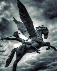 a black and white photo of a winged horse