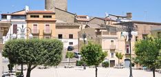 an empty square with several trees and buildings in the backgrouds on a sunny day