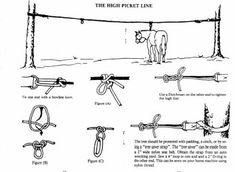 the diagram shows how to tie a horse's bridle with two different ropes