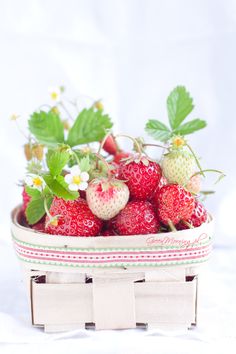 strawberries in a bowl with green leaves and flowers