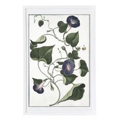 an illustration of blue flowers and green leaves on a white background, framed in a white frame