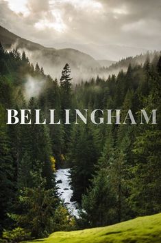 the words bellinghamam are in front of a forest with trees and mountains behind it