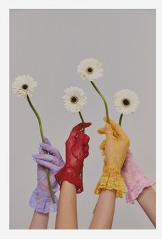 four hands with gloves holding daisies in each hand and the other two are different colors