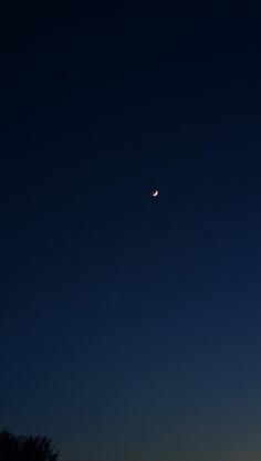 the moon is shining brightly in the night sky above some trees and grass, with no one visible on the horizon