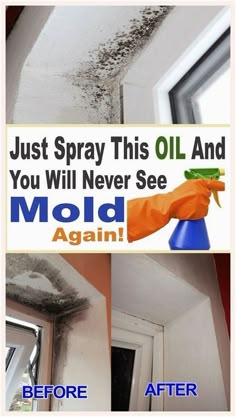 the before and after pictures of mold in a window sill, with text that reads just spray this oil and you will never see ages again