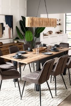 a dining room table with chairs and a large plant in the corner on top of it