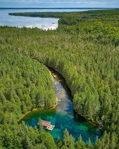 an aerial view of a river running through a lush green forest filled with lots of trees