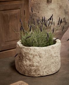 a planter with lavender growing in it