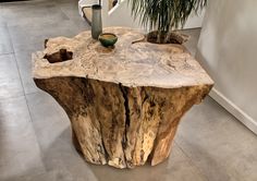 a tree stump table with a potted plant sitting on it's top, in the middle of a room