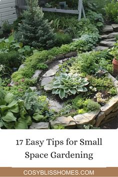 This pin offers 17 expert tips for small space gardening. Learn simple ways to optimize your tiny garden areas for a great harvest using effective techniques like vertical planting. Tiny Balcony, Vertical Planter, Small Space Gardening, Vertical Garden, Urban Garden, Small Backyard, Water Features